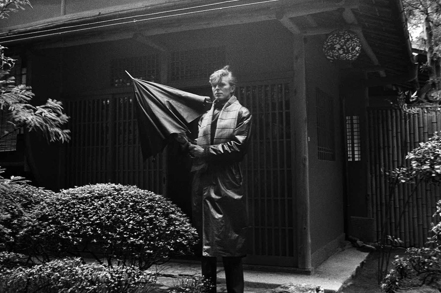 Artisten David Bowie fäller upp ett paraply. 