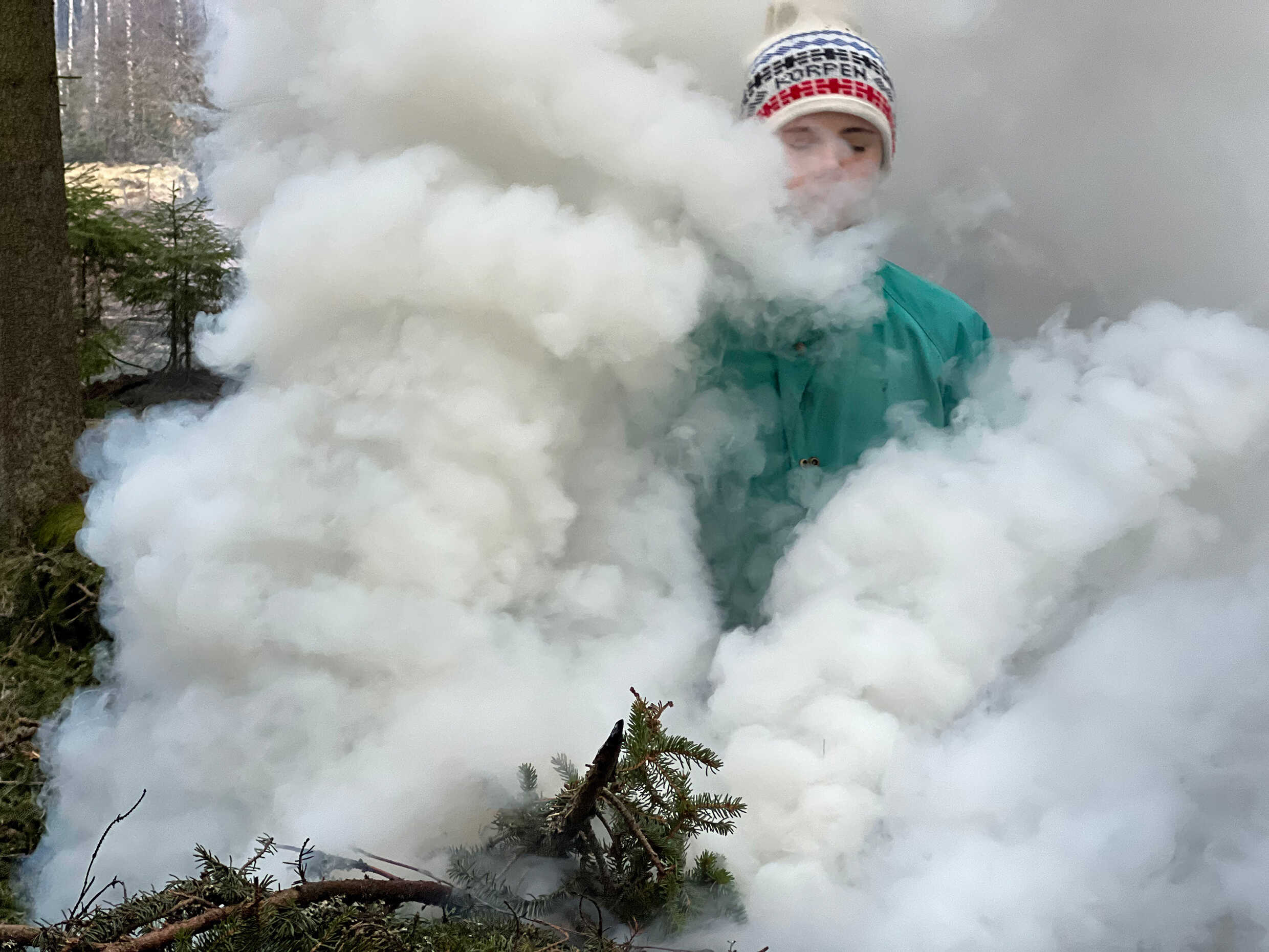 Spår i skogen.