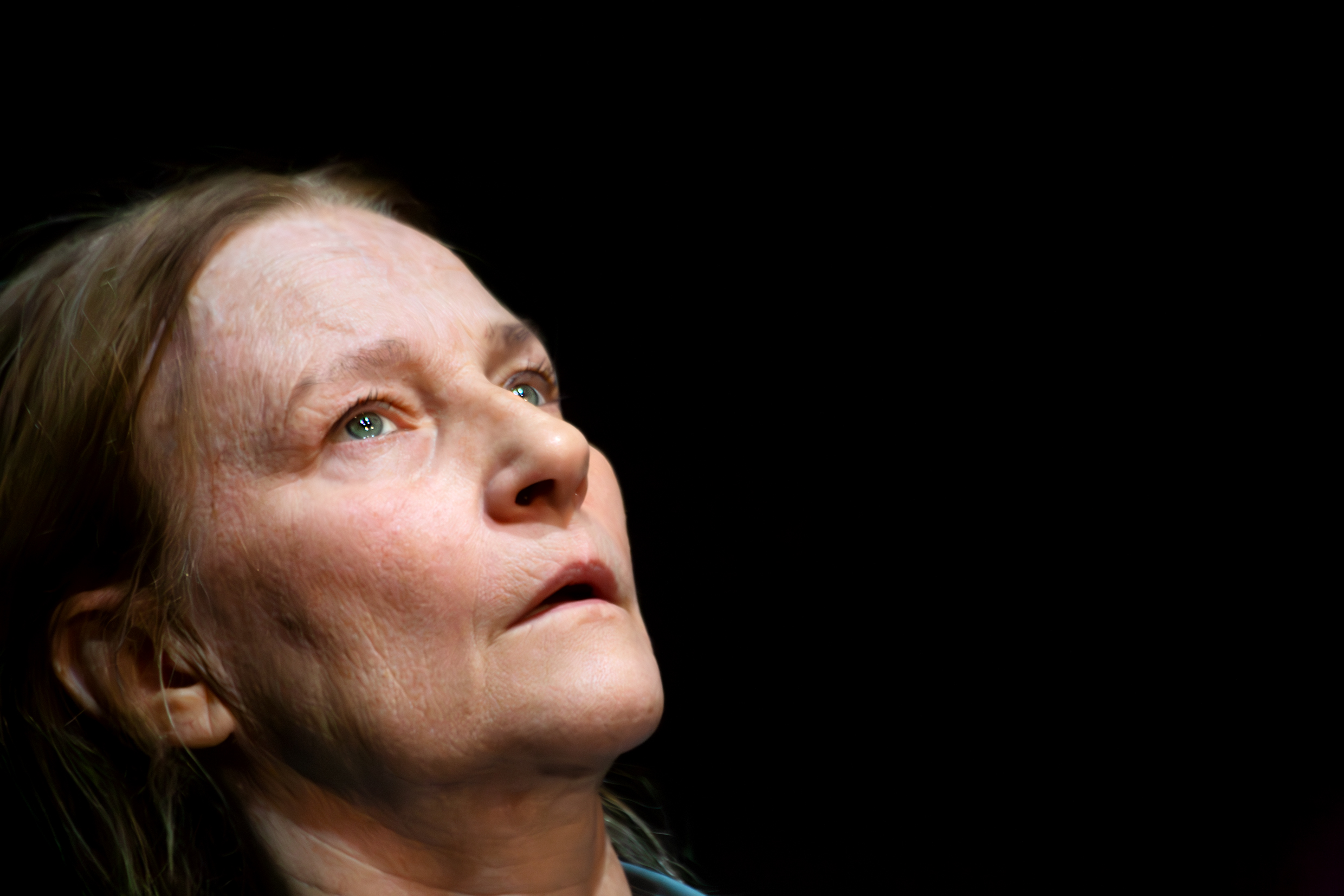 Annika Hallin i En liten roman, urpremiär 14 februari på Klarascenen, Kulturhuset Stadsteatern.